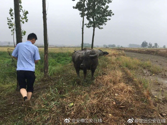 五月天综合