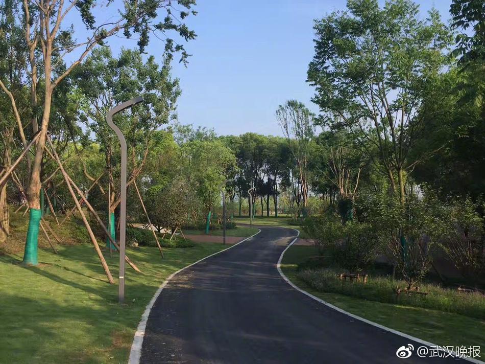 亚洲国产精品视频