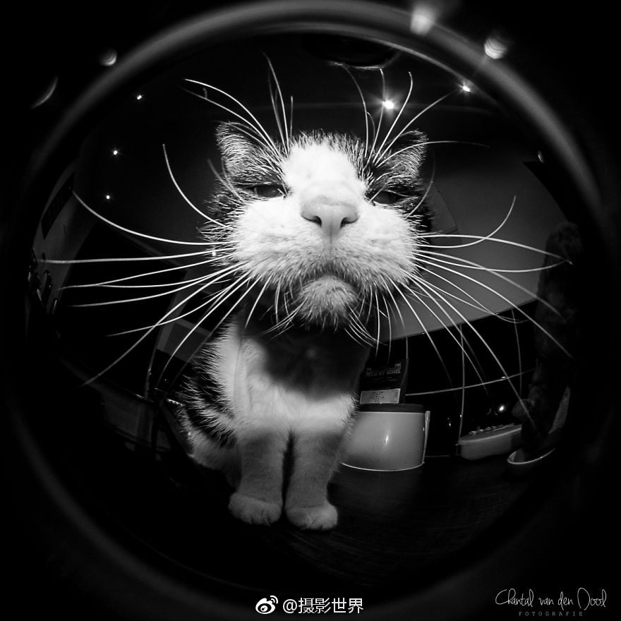 膣内