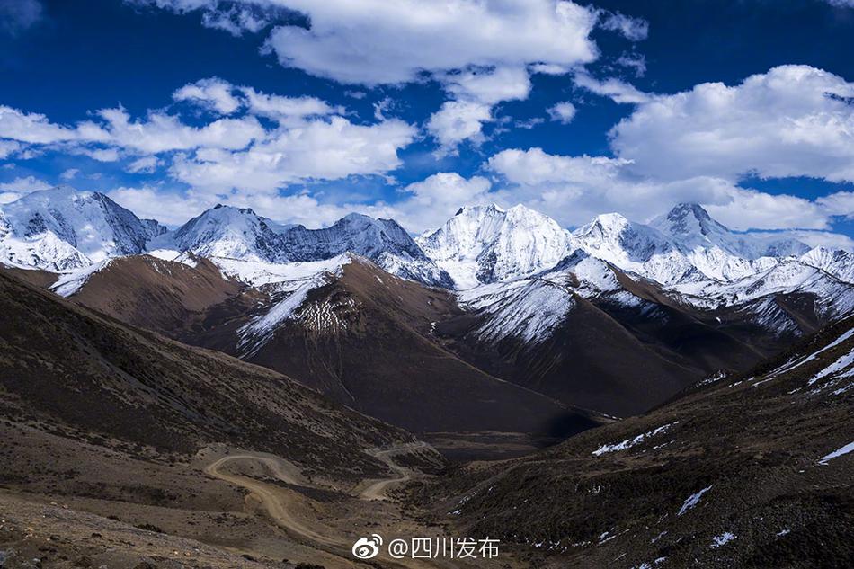 免费高清黄色网站