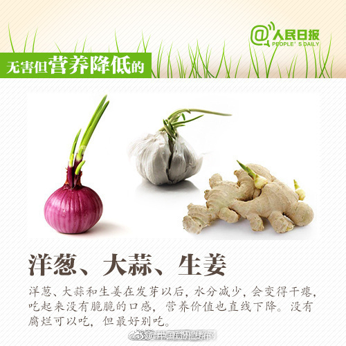 欧美人性生活特别黄色