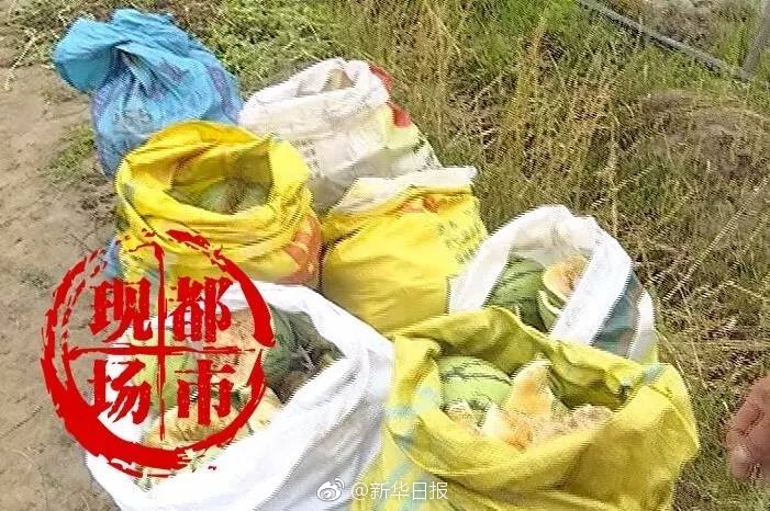 韩国一级片