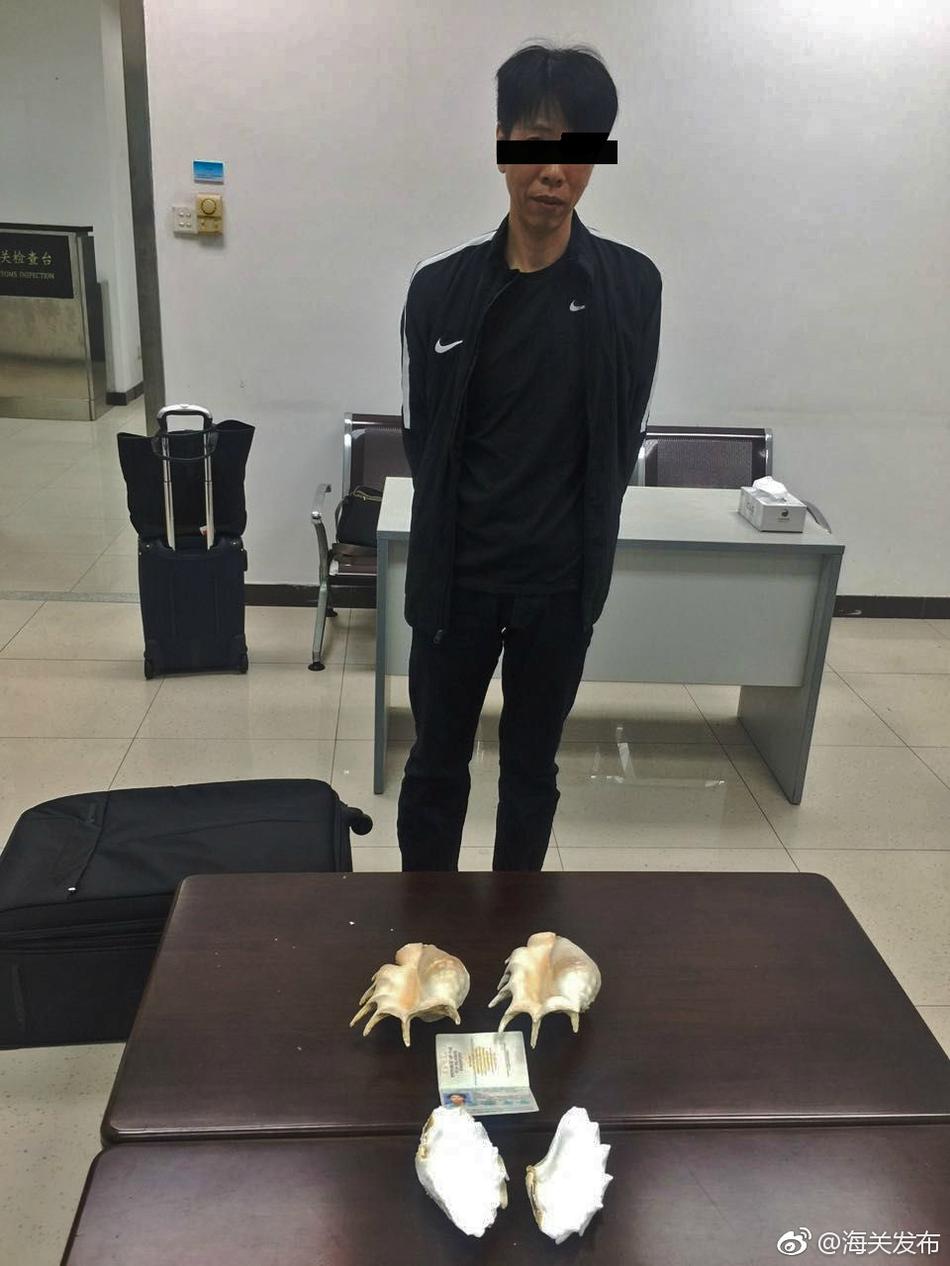 美女Pp美女光屁屁光屁屁光屁屁光屁屁图