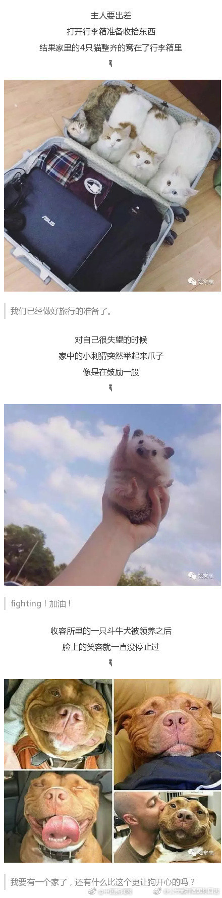 祖孙乱操逼视频