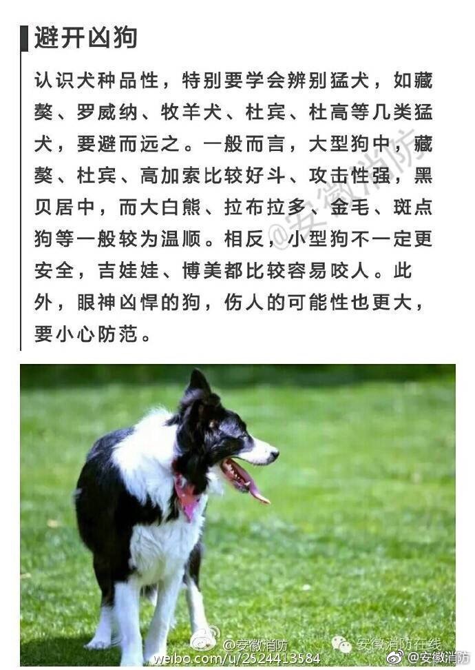 雷神将军被 吸乳羞羞小时