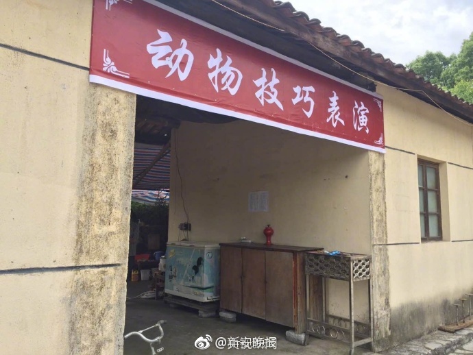 免费黄色网站网址