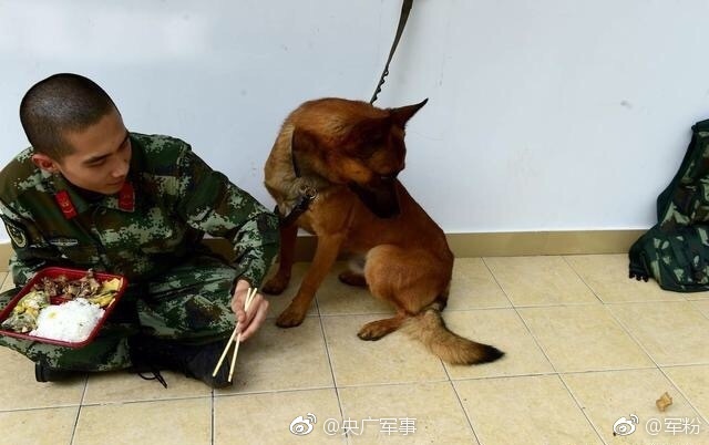 免费 在线 成人 网