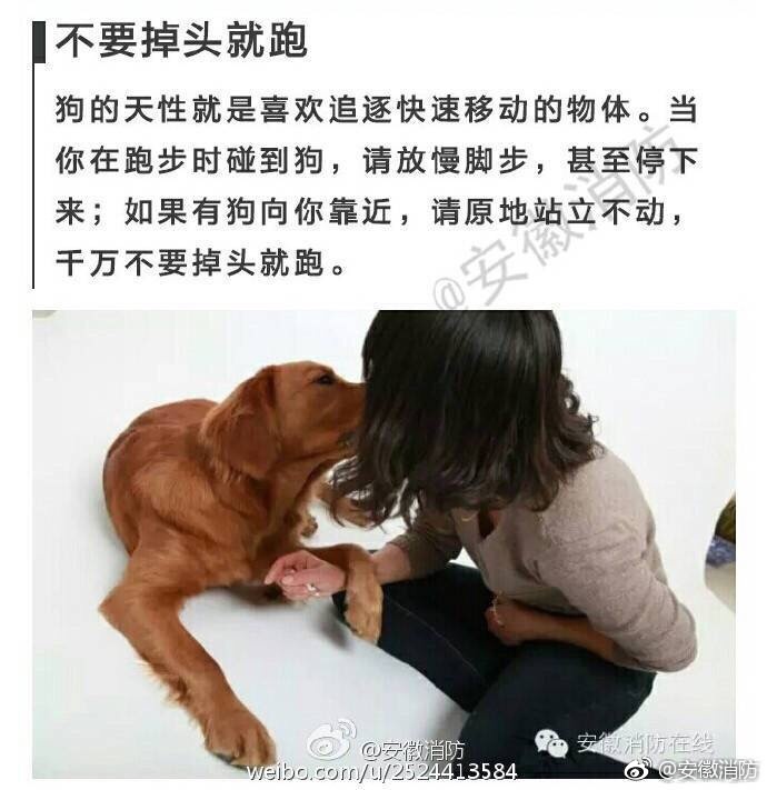 港台4级片