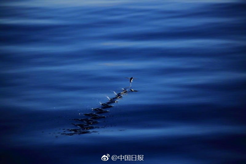 黄色视频网站国产在线看