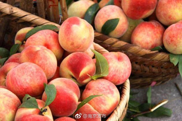 愛愛超能者影片