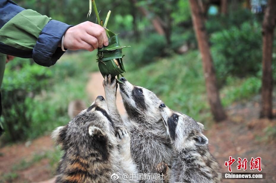 鲁大师在线看片在线播放