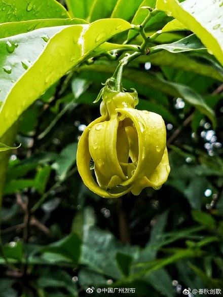黄色网站无打码