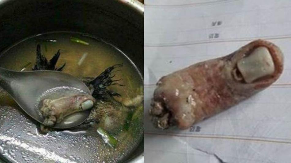 美女免费黄色永久视频
