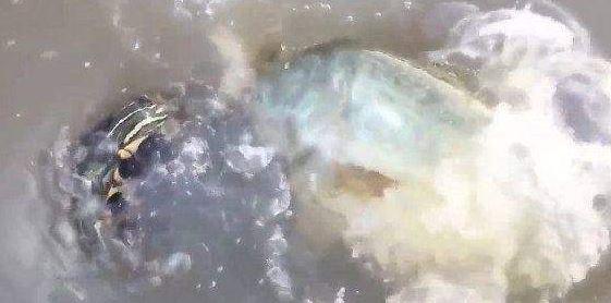 Free性欧美派对对狂欢Hd
