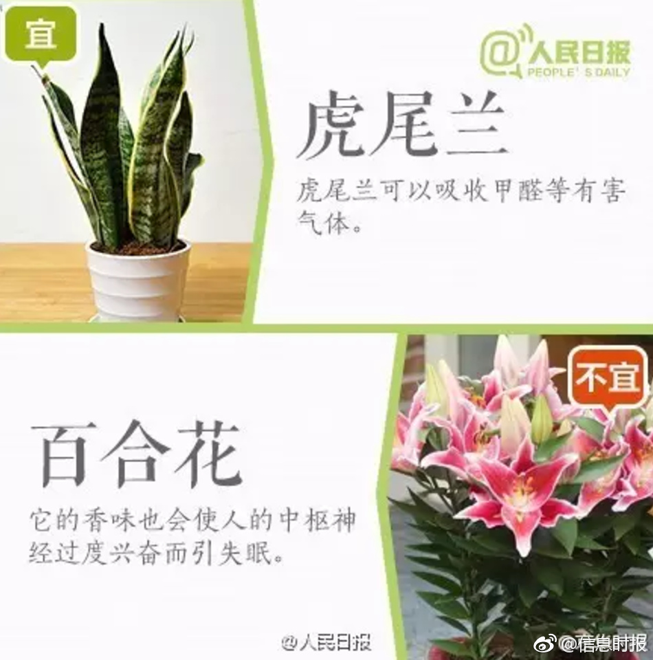 农村人乱操逼