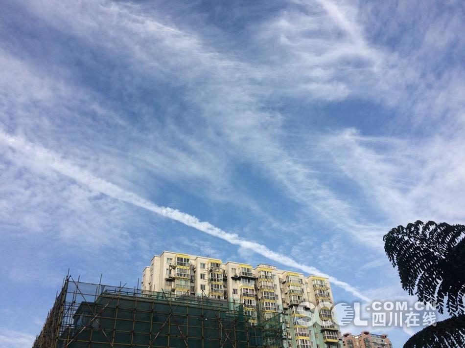 性爱 高清