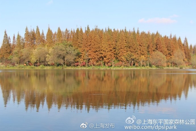 最新 做爱 视频