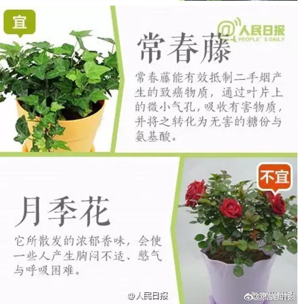 隱形內衣