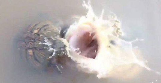 欧美成人一区二区三区片免费