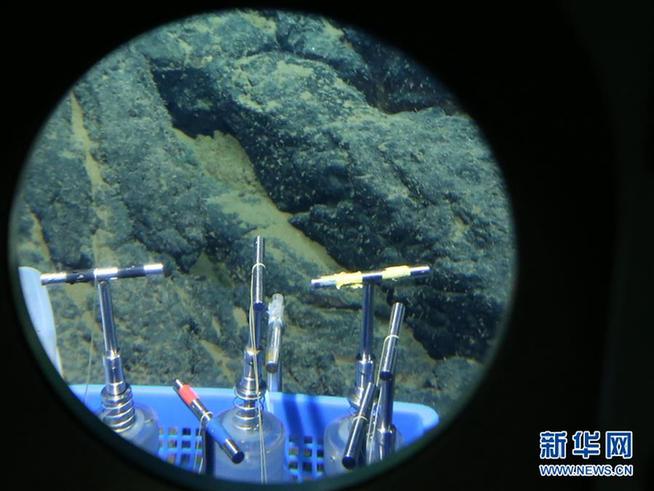 黄色网站免费看无需下载