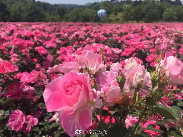 亚洲国产日韩欧美