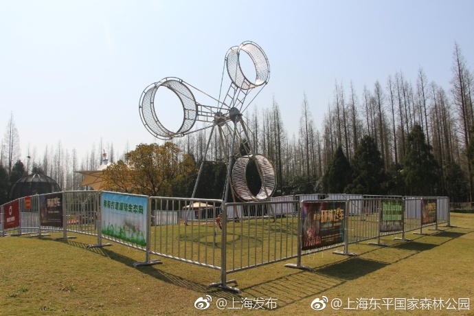 中国 XX裸体