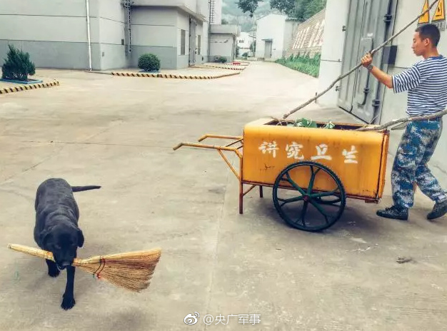 两男生互摸jiji秘 网站