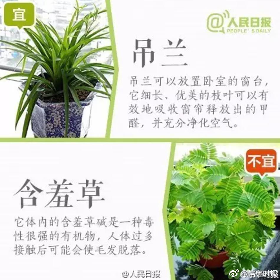 同性女女互慰互操
