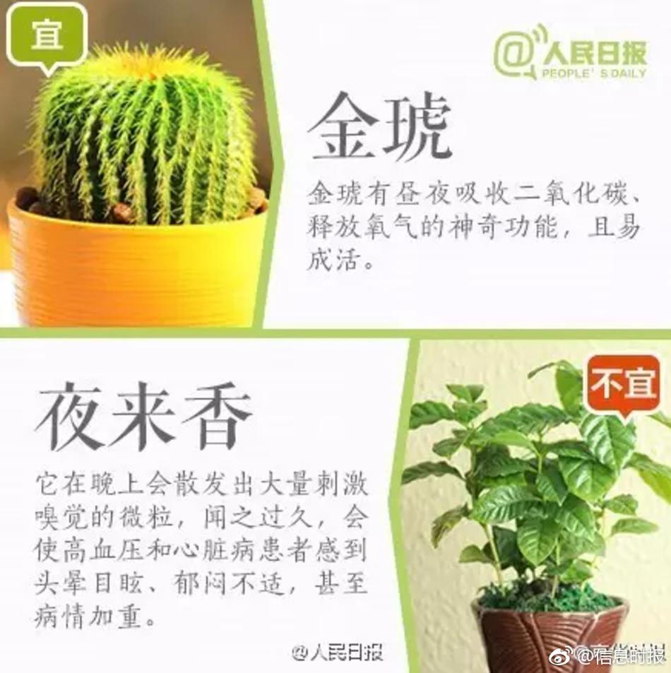 中国槡BBBB槡槡BBBBB