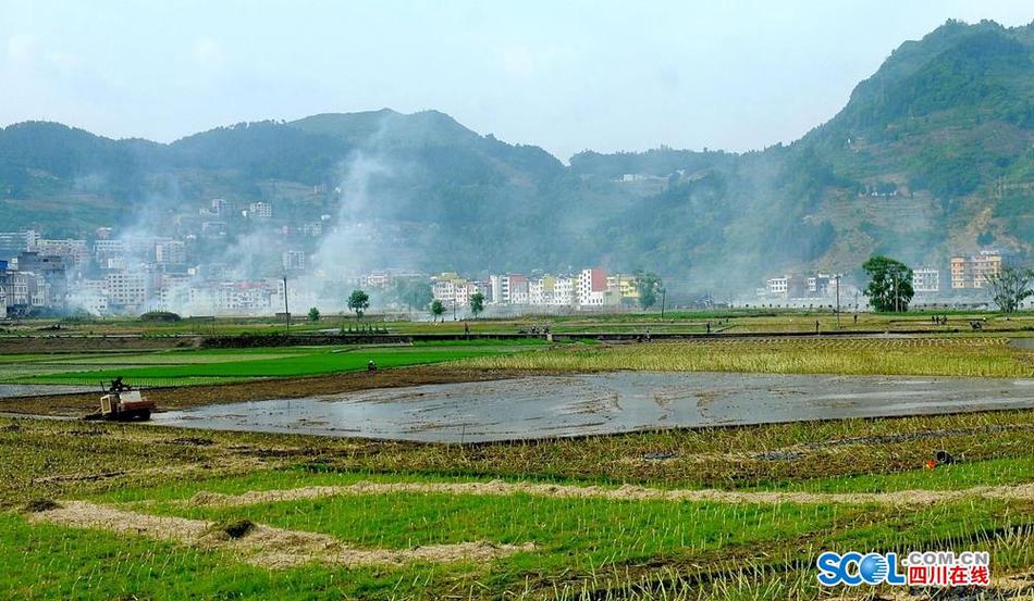 兔费黄免片A