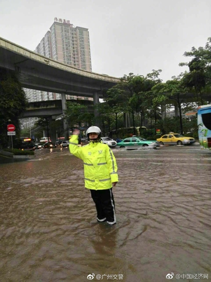 高清多毛屄