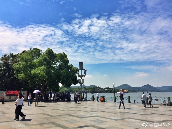 爱情岛永久免费线路高清