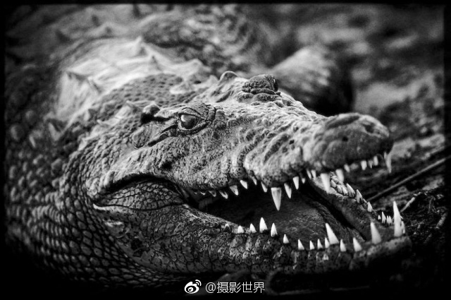 精品国产91