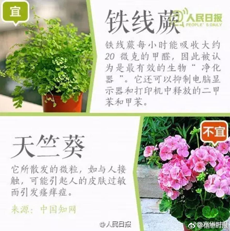 亚洲老妇色Xxxx欧美老妇性