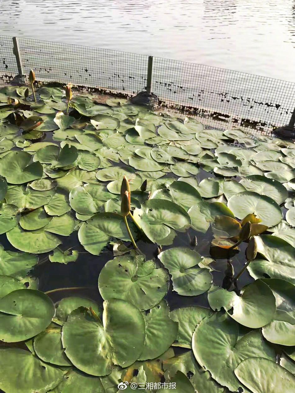 公園做愛