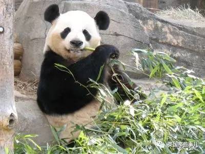 巨尻