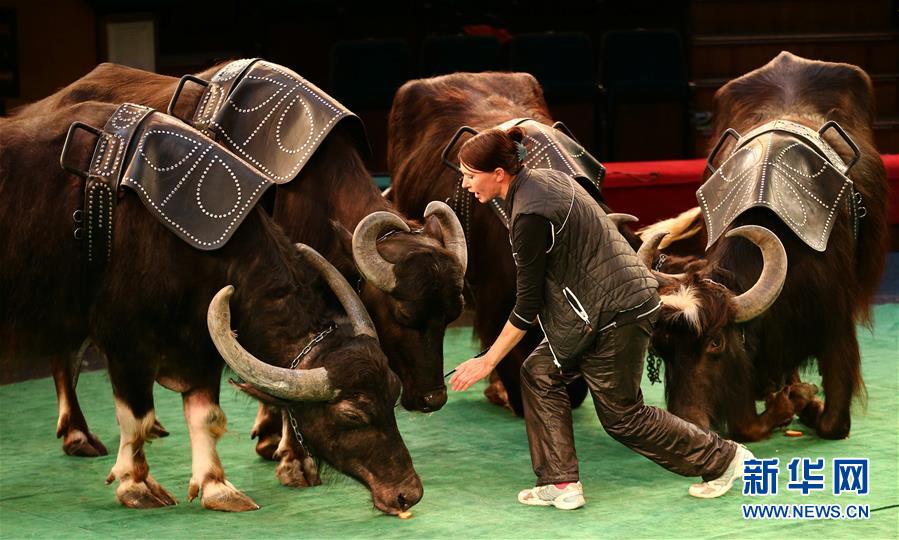 日本大屁股色情片