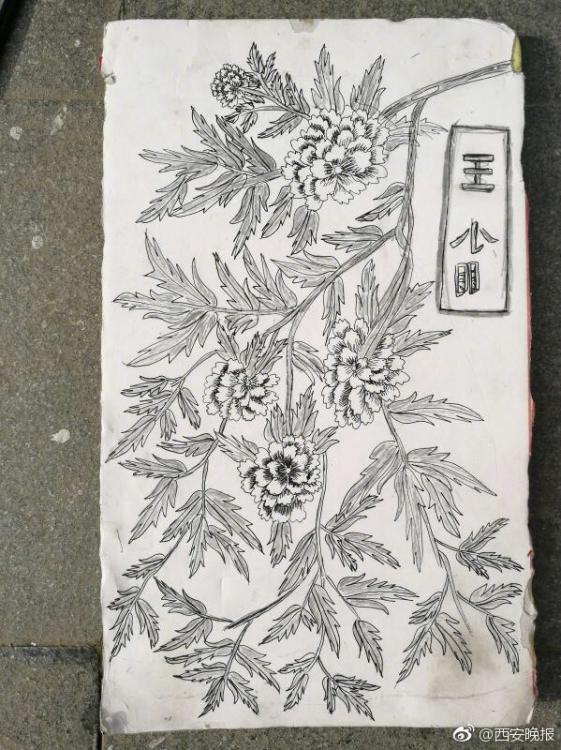 风流肥女大BBBBBB