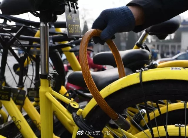 欧美日逼视频