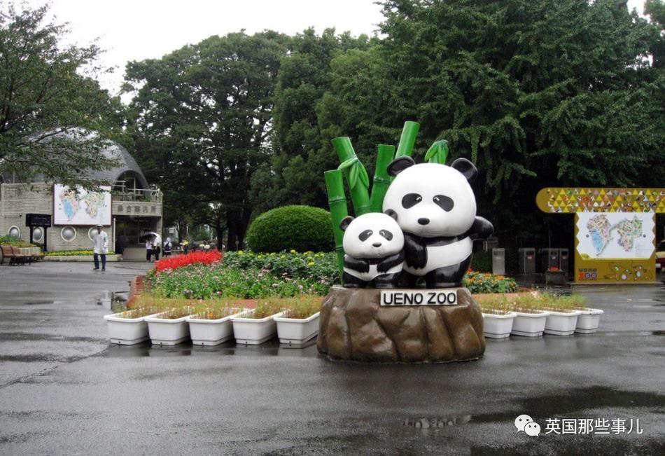 8x8x拨牐拨牐x8免费版怎么设置