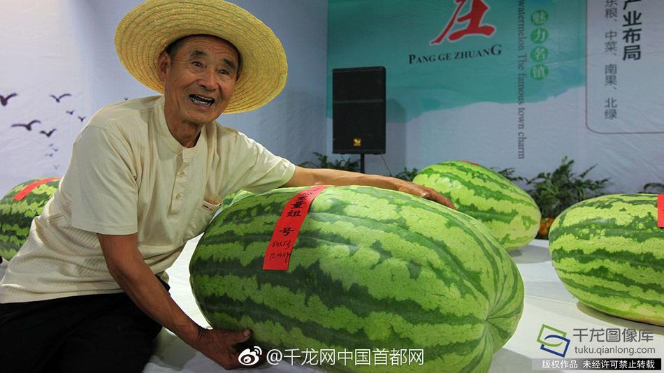 假屌