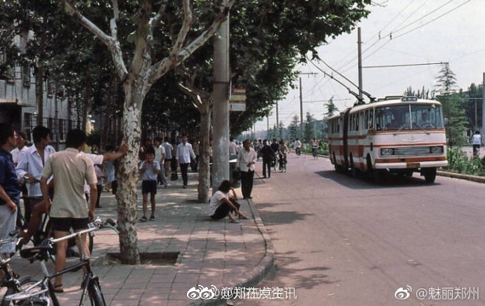 五十路毛片