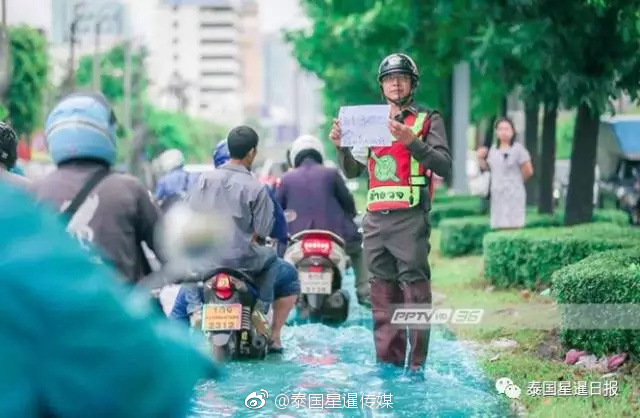 t66y技术交流区盖尔达的旗帜