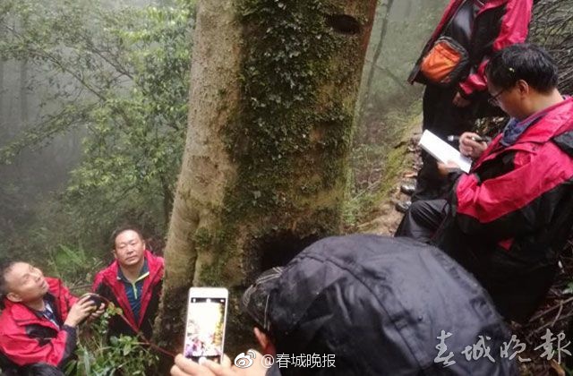 东京热下载
