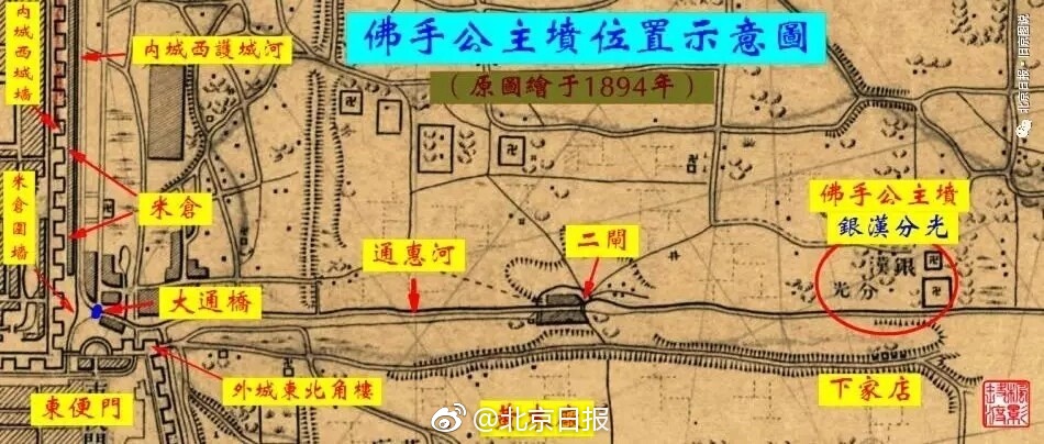 国产高H片网站