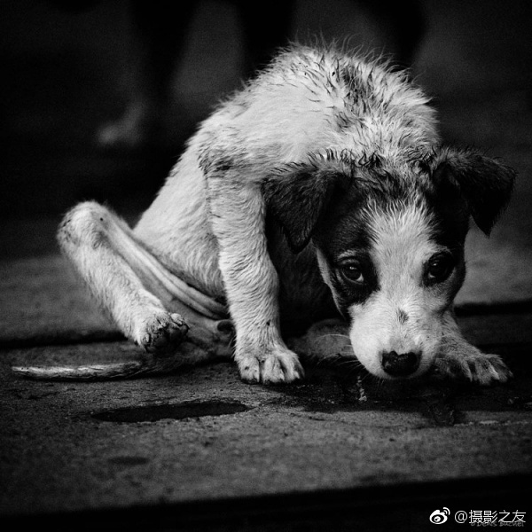 国产AV一级片
