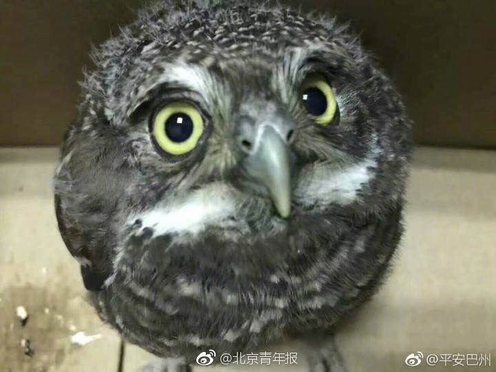 www.精品