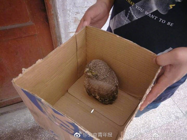 黄色裸体片欧美