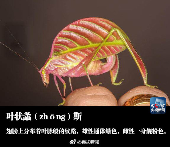 性爱网站大全