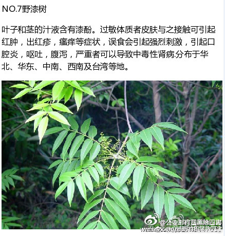玩人妻偷情